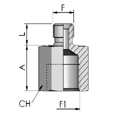 ШТУЦЕР BSPP, КОНУС 60° X ВНУТРЕННЯЯ РЕЗЬБА BSPP
